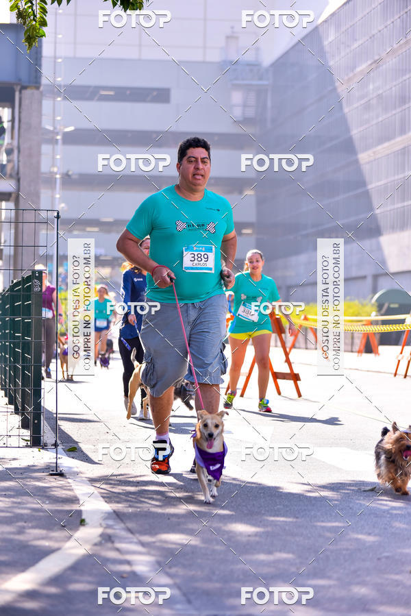 Buy your photos of the event2 Pet Run Shopping Eldorado  on Fotop