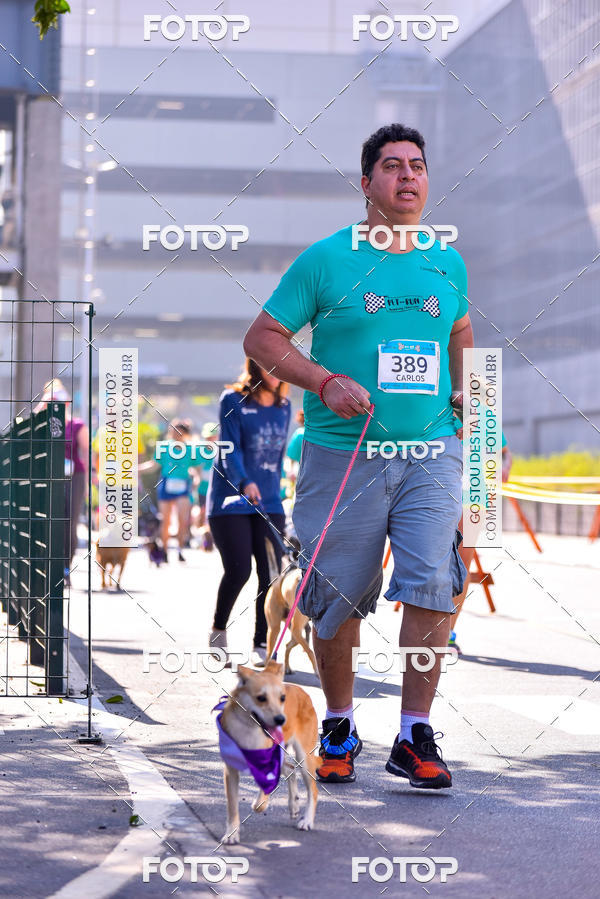 Buy your photos of the event2 Pet Run Shopping Eldorado  on Fotop