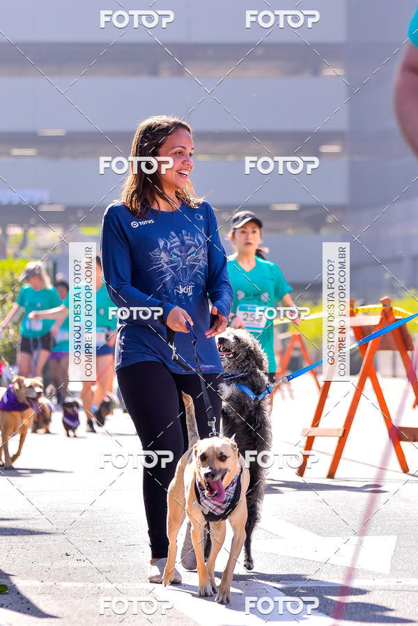 Buy your photos of the event2 Pet Run Shopping Eldorado  on Fotop