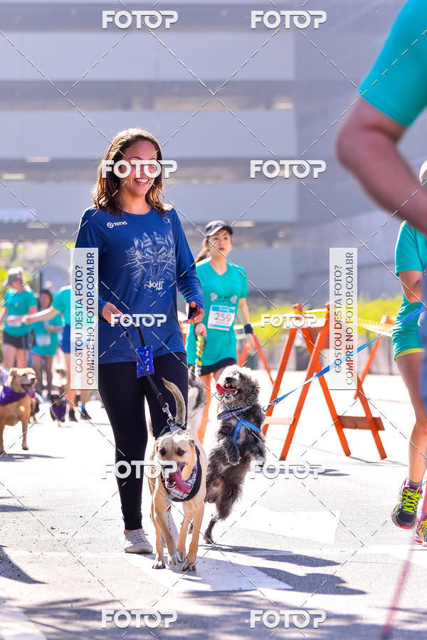 Buy your photos of the event2 Pet Run Shopping Eldorado  on Fotop