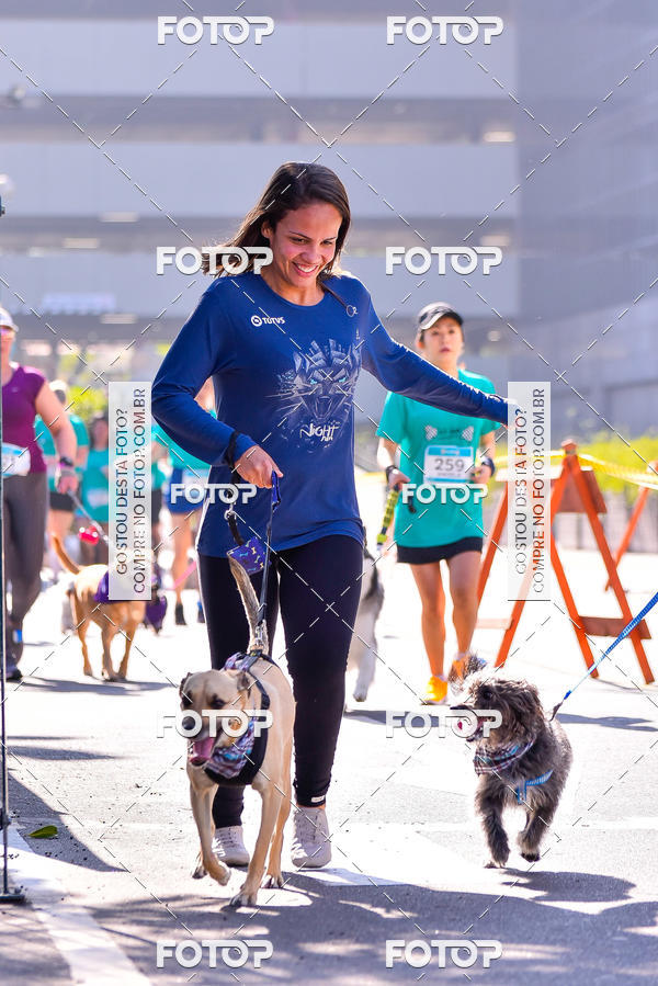 Buy your photos of the event2 Pet Run Shopping Eldorado  on Fotop
