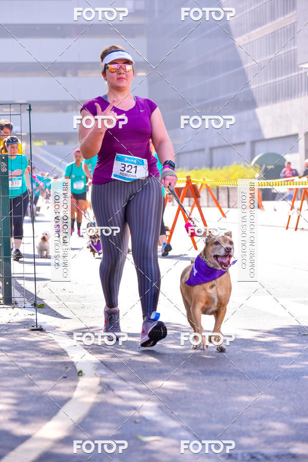 Buy your photos of the event2 Pet Run Shopping Eldorado  on Fotop