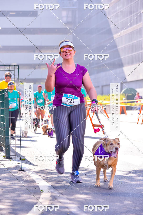 Buy your photos of the event2 Pet Run Shopping Eldorado  on Fotop