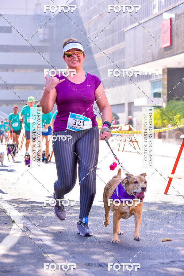 Buy your photos of the event2 Pet Run Shopping Eldorado  on Fotop