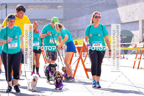Buy your photos of the event2 Pet Run Shopping Eldorado  on Fotop