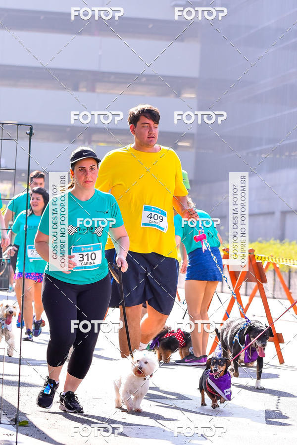Buy your photos of the event2 Pet Run Shopping Eldorado  on Fotop