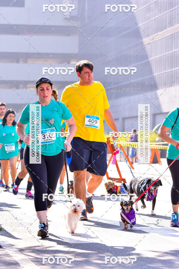 Buy your photos of the event2 Pet Run Shopping Eldorado  on Fotop