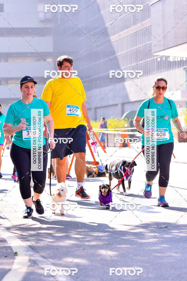 Buy your photos of the event2 Pet Run Shopping Eldorado  on Fotop