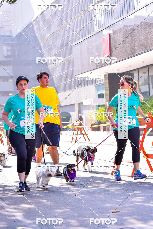 Buy your photos of the event2 Pet Run Shopping Eldorado  on Fotop