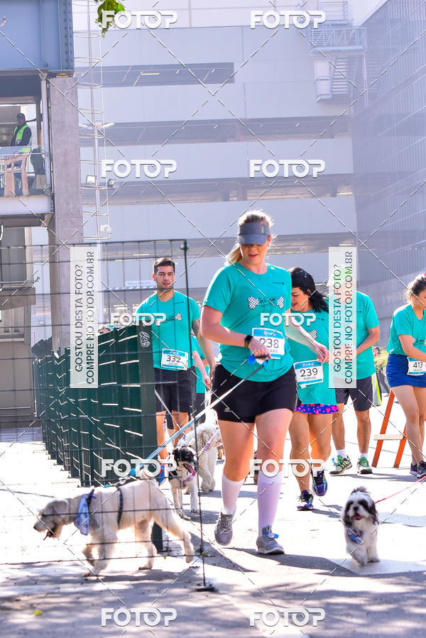 Buy your photos of the event2 Pet Run Shopping Eldorado  on Fotop