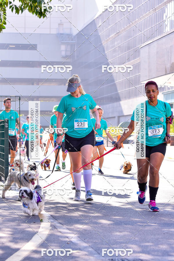 Buy your photos of the event2 Pet Run Shopping Eldorado  on Fotop