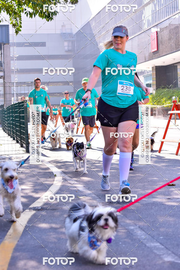 Buy your photos of the event2 Pet Run Shopping Eldorado  on Fotop