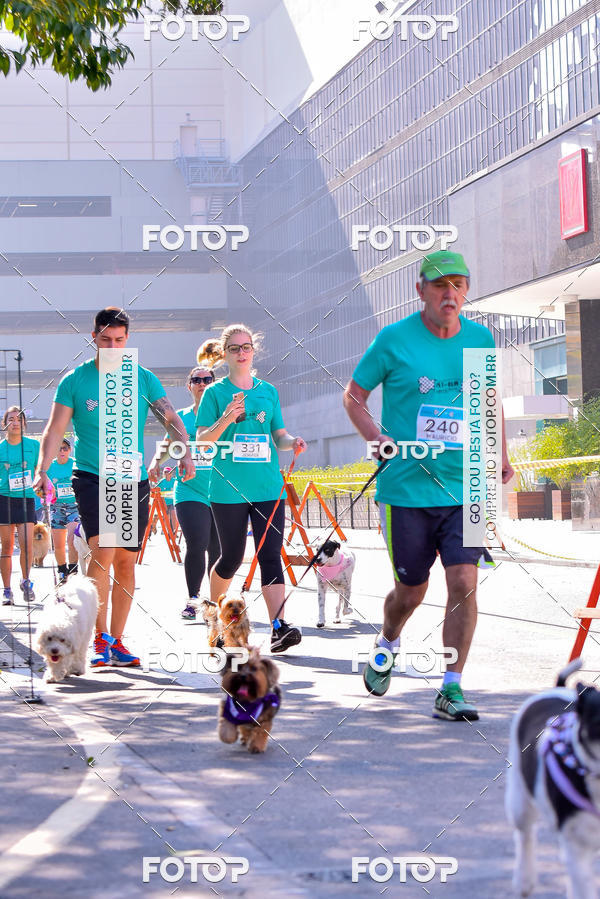 Buy your photos of the event2 Pet Run Shopping Eldorado  on Fotop