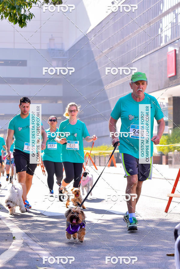 Buy your photos of the event2 Pet Run Shopping Eldorado  on Fotop