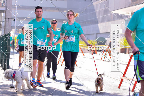 Buy your photos of the event2 Pet Run Shopping Eldorado  on Fotop