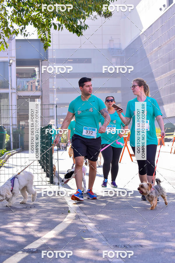 Buy your photos of the event2 Pet Run Shopping Eldorado  on Fotop
