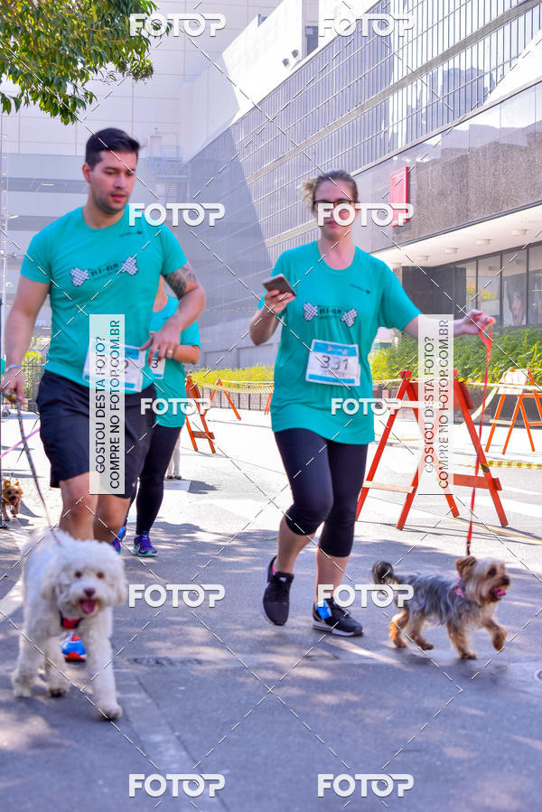 Buy your photos of the event2 Pet Run Shopping Eldorado  on Fotop