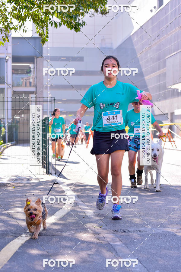 Buy your photos of the event2 Pet Run Shopping Eldorado  on Fotop