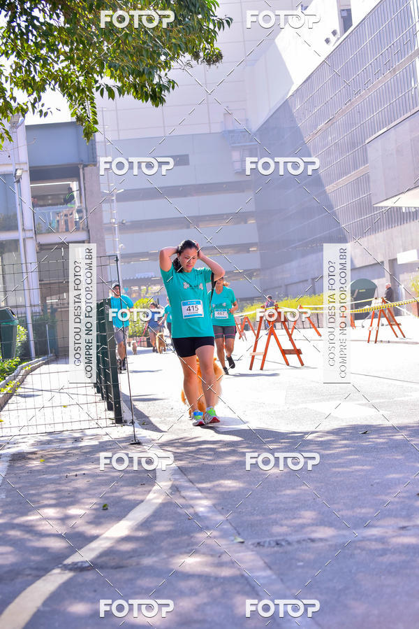 Buy your photos of the event2 Pet Run Shopping Eldorado  on Fotop