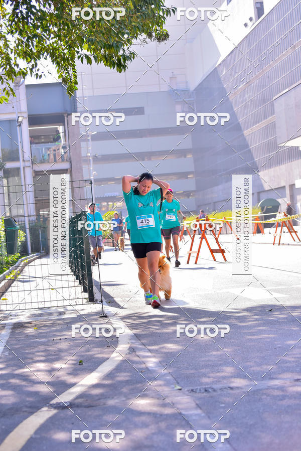 Buy your photos of the event2 Pet Run Shopping Eldorado  on Fotop