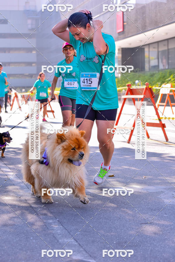 Buy your photos of the event2 Pet Run Shopping Eldorado  on Fotop