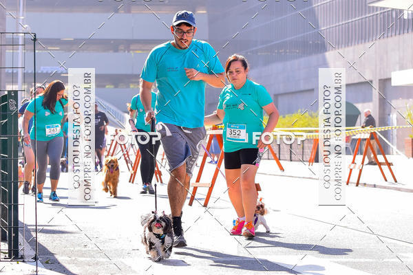 Buy your photos of the event2 Pet Run Shopping Eldorado  on Fotop