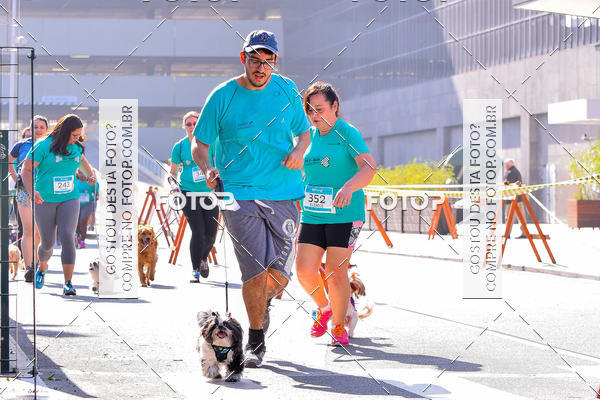 Buy your photos of the event2 Pet Run Shopping Eldorado  on Fotop