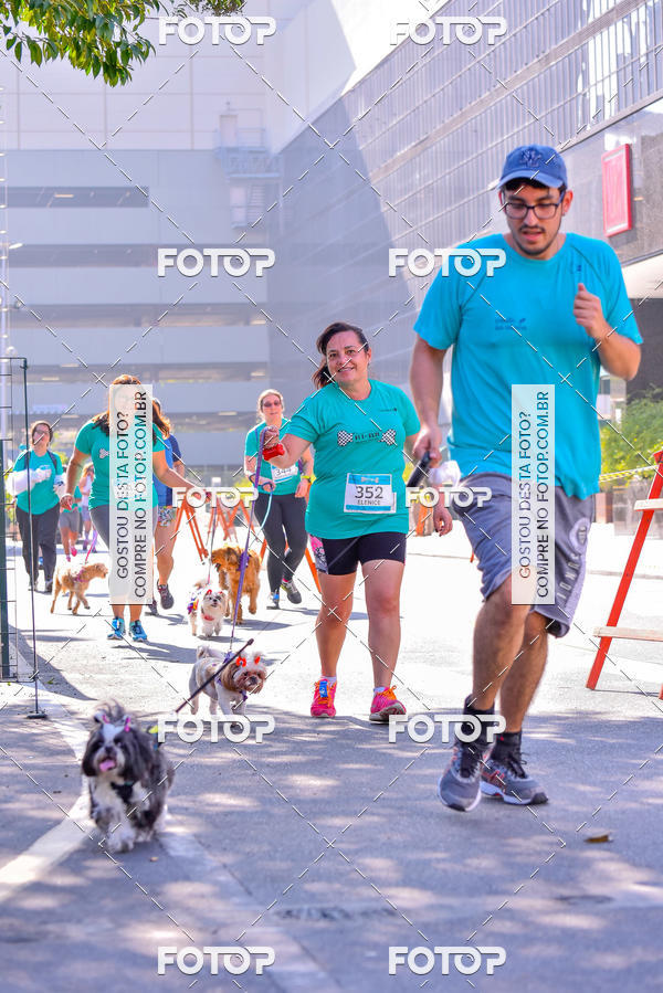 Buy your photos of the event2 Pet Run Shopping Eldorado  on Fotop