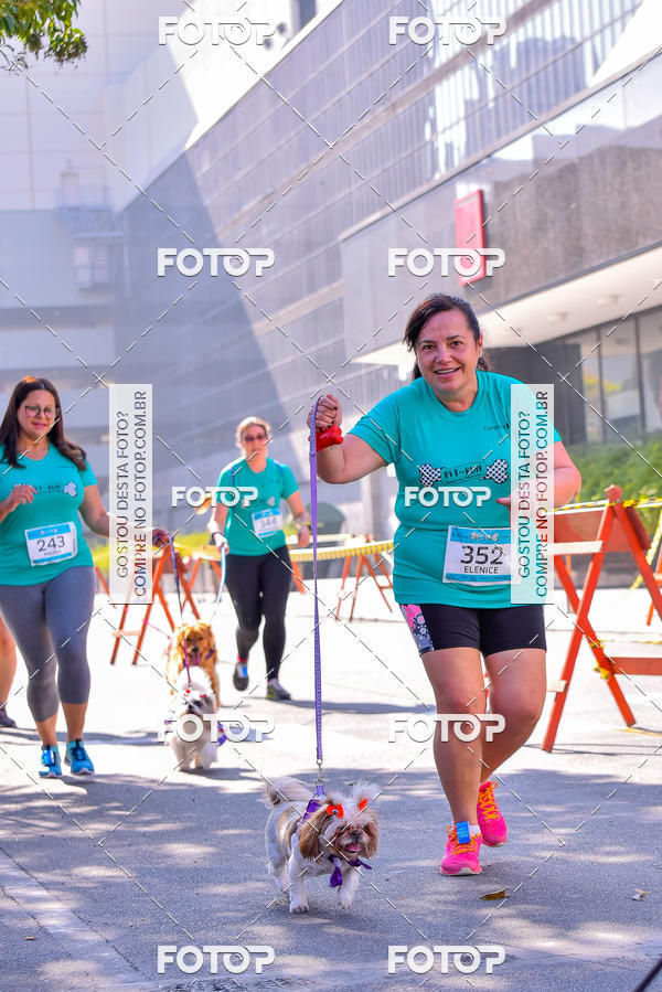Buy your photos of the event2 Pet Run Shopping Eldorado  on Fotop