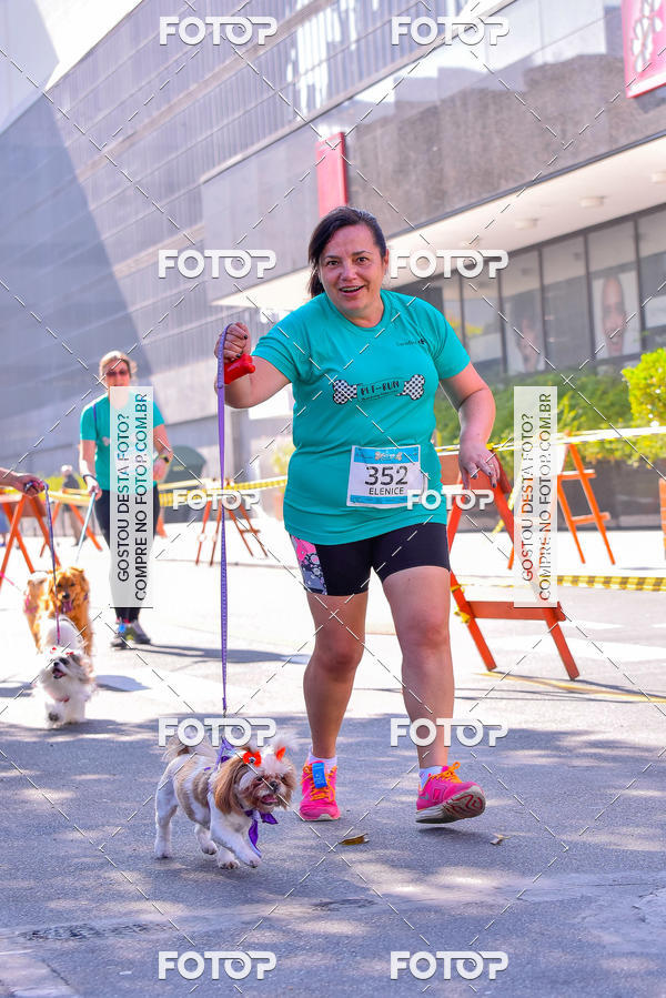 Buy your photos of the event2 Pet Run Shopping Eldorado  on Fotop