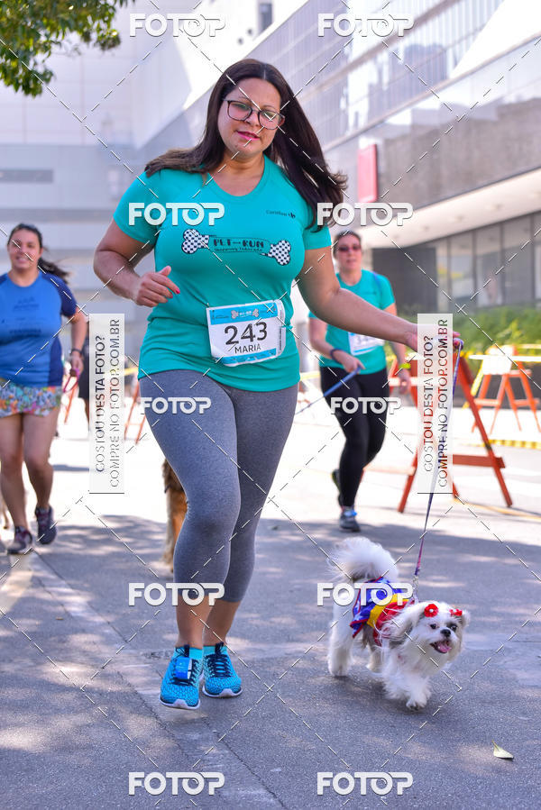 Buy your photos of the event2 Pet Run Shopping Eldorado  on Fotop