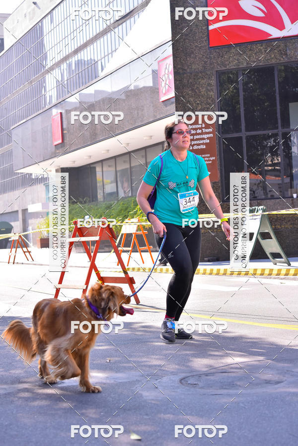 Buy your photos of the event2 Pet Run Shopping Eldorado  on Fotop