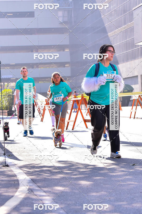 Buy your photos of the event2 Pet Run Shopping Eldorado  on Fotop