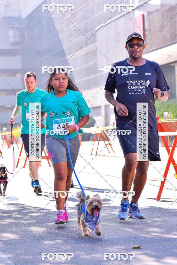 Buy your photos of the event2 Pet Run Shopping Eldorado  on Fotop