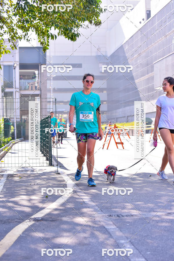 Buy your photos of the event2 Pet Run Shopping Eldorado  on Fotop
