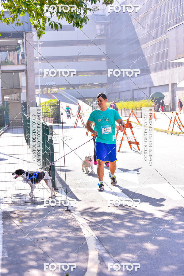 Buy your photos of the event2 Pet Run Shopping Eldorado  on Fotop