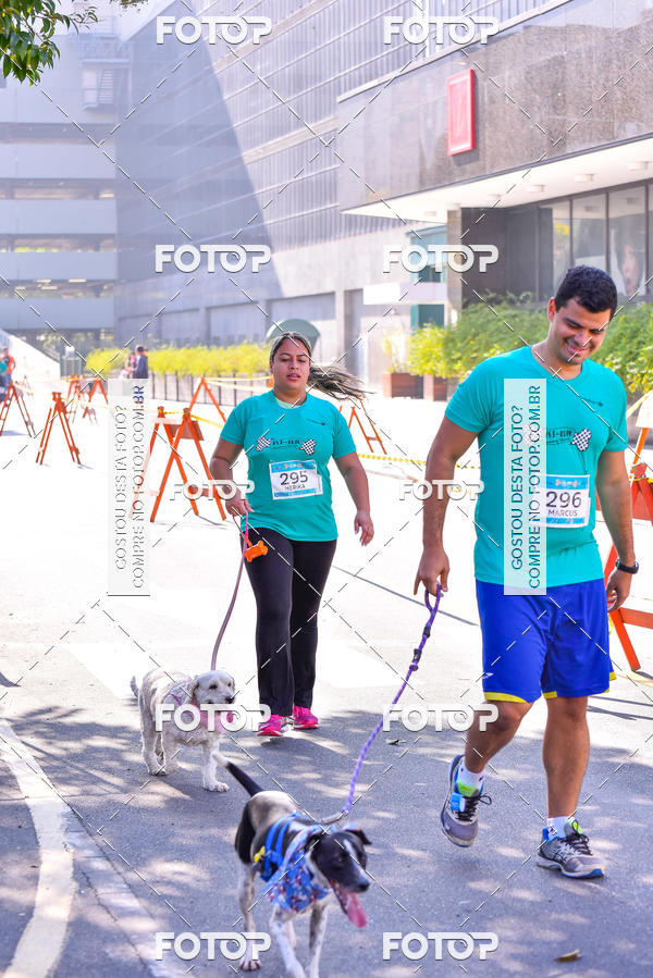 Buy your photos of the event2 Pet Run Shopping Eldorado  on Fotop