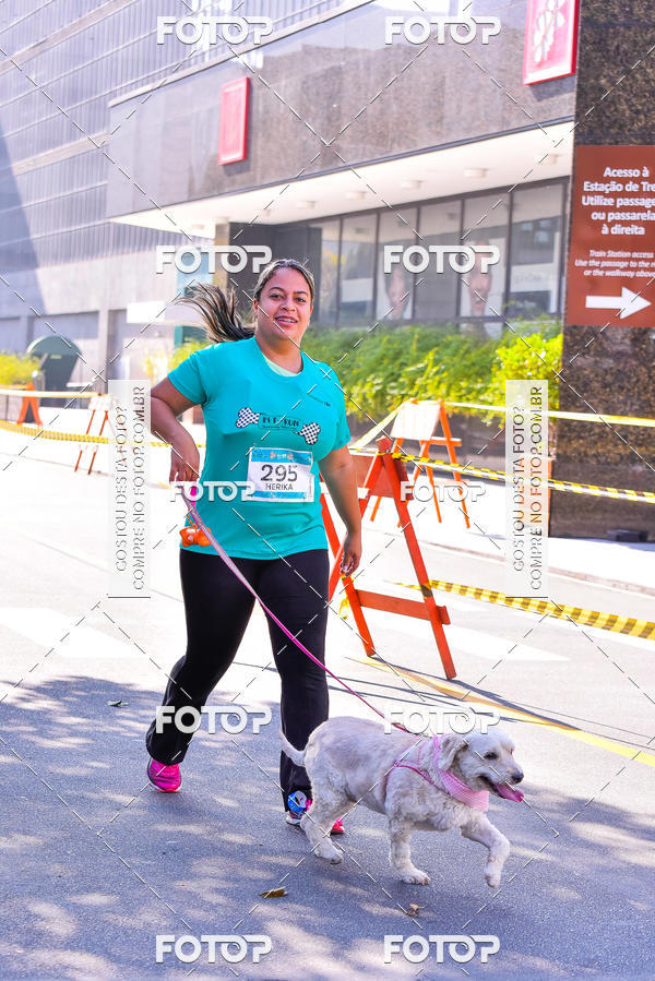 Buy your photos of the event2 Pet Run Shopping Eldorado  on Fotop