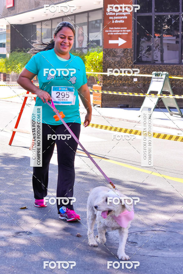 Buy your photos of the event2 Pet Run Shopping Eldorado  on Fotop