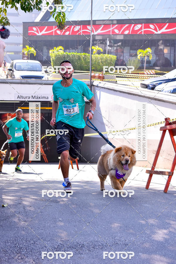 Buy your photos of the event2 Pet Run Shopping Eldorado  on Fotop