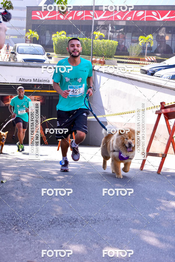 Buy your photos of the event2 Pet Run Shopping Eldorado  on Fotop