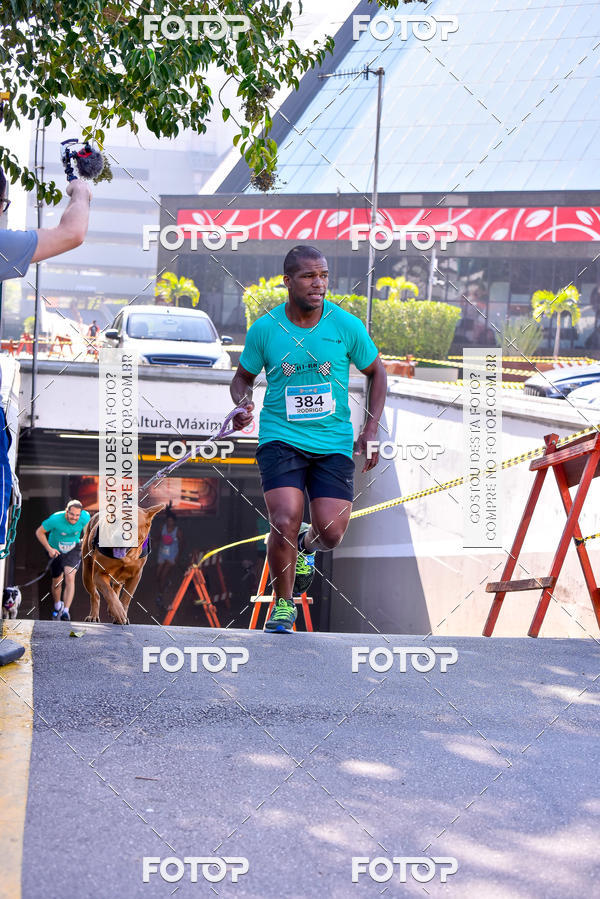 Buy your photos of the event2 Pet Run Shopping Eldorado  on Fotop