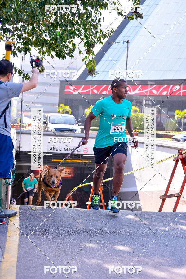 Buy your photos of the event2 Pet Run Shopping Eldorado  on Fotop