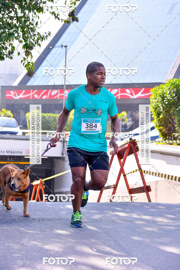 Buy your photos of the event2 Pet Run Shopping Eldorado  on Fotop