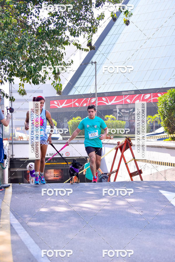 Buy your photos of the event2 Pet Run Shopping Eldorado  on Fotop