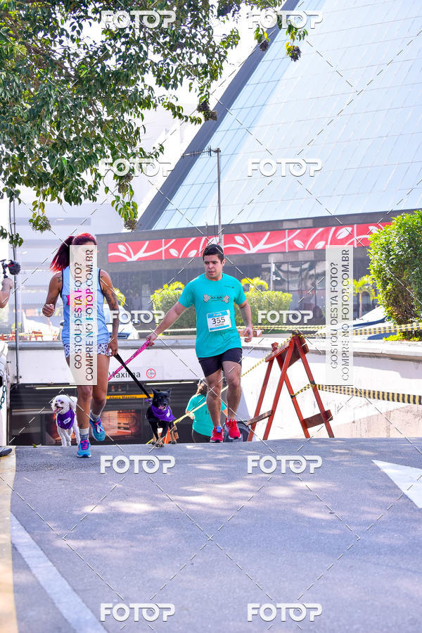 Buy your photos of the event2 Pet Run Shopping Eldorado  on Fotop