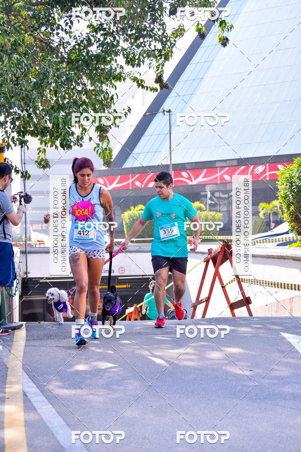 Buy your photos of the event2 Pet Run Shopping Eldorado  on Fotop