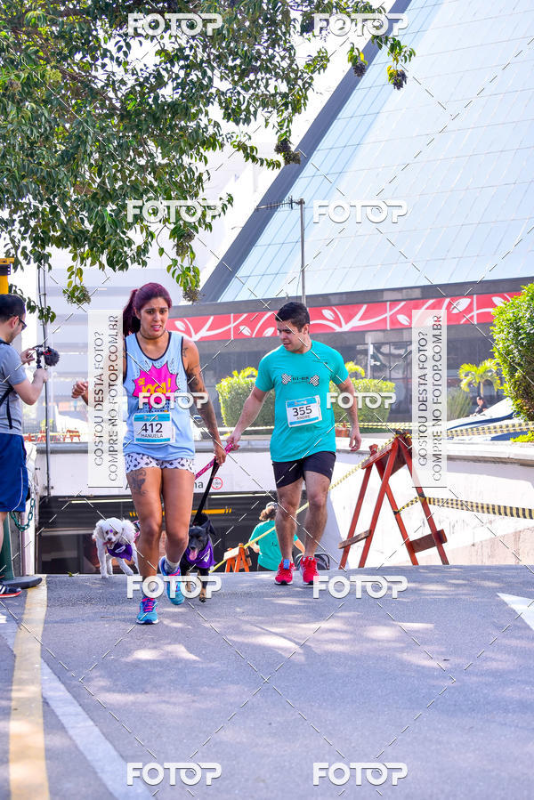 Buy your photos of the event2 Pet Run Shopping Eldorado  on Fotop