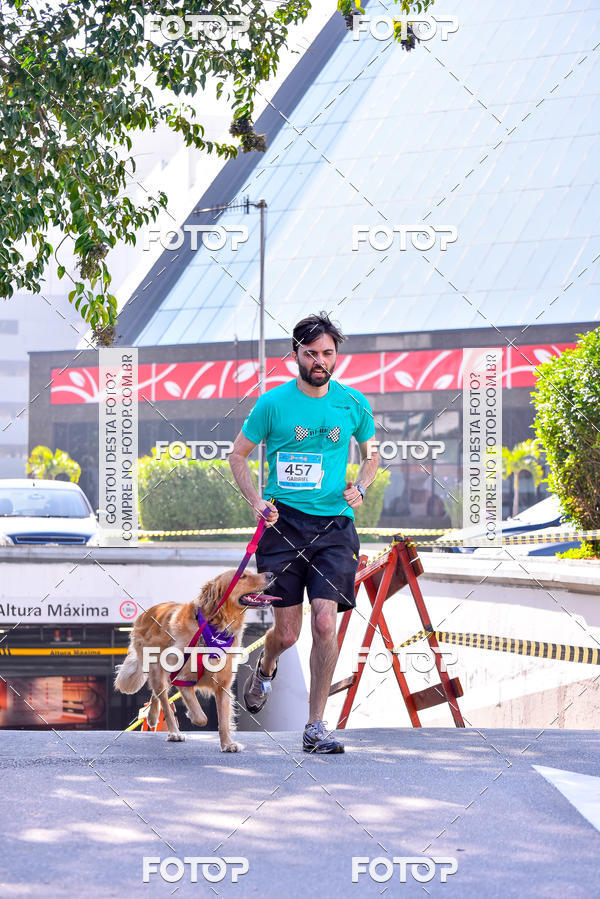 Buy your photos of the event2 Pet Run Shopping Eldorado  on Fotop