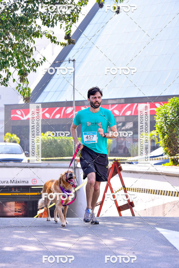 Buy your photos of the event2 Pet Run Shopping Eldorado  on Fotop